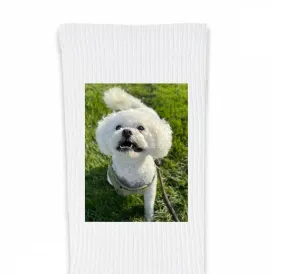 Design Your Own Custom Printed Crew Socks - Large