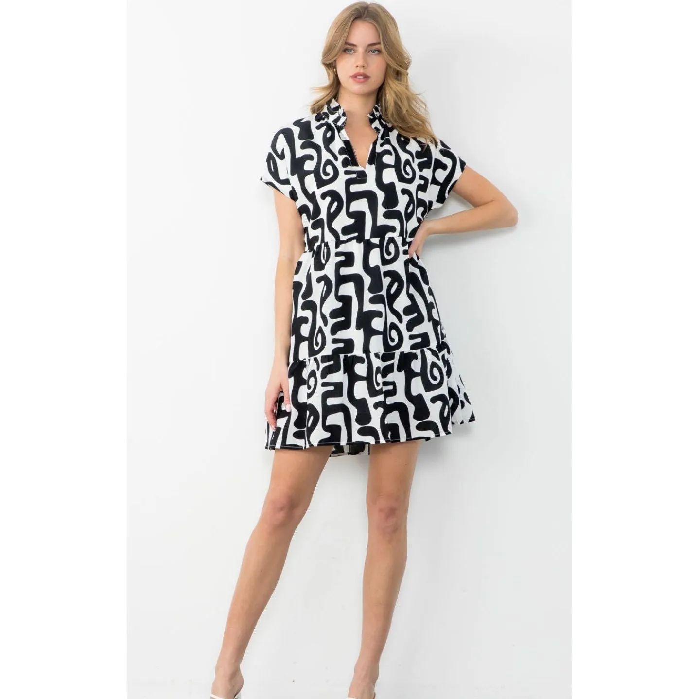 Laura Black White Printed Sleeve THML Dress